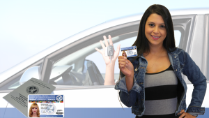 International Driving License