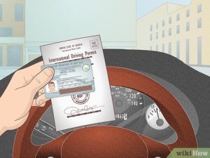 Driving License Card